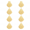 Gold Stainless Steel Shell Earrings